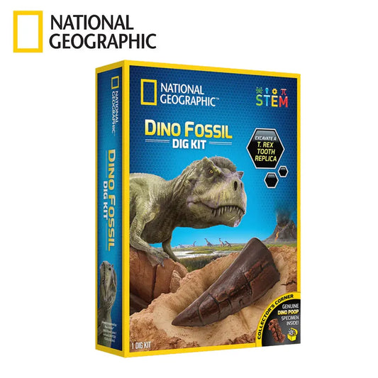 Dino Fossil Dig Kit - Excavate a Replica Dinosaur Tooth Fossil